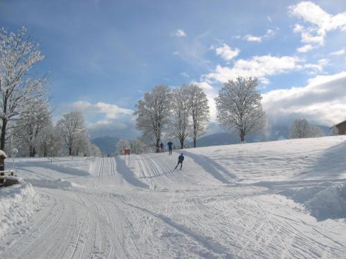 Alpenbad Aparthotel Ramsau am Dachstein Exteriör bild